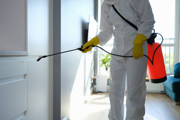 Certified Mold Removal in Bethel, WA