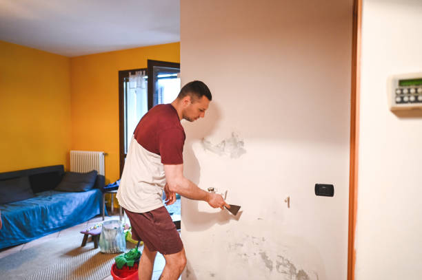 Best Mold Cleaning Services  in Bethel, WA